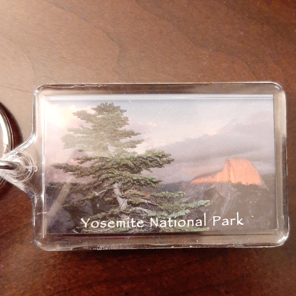 Nwot, Yosemite Park keychain
